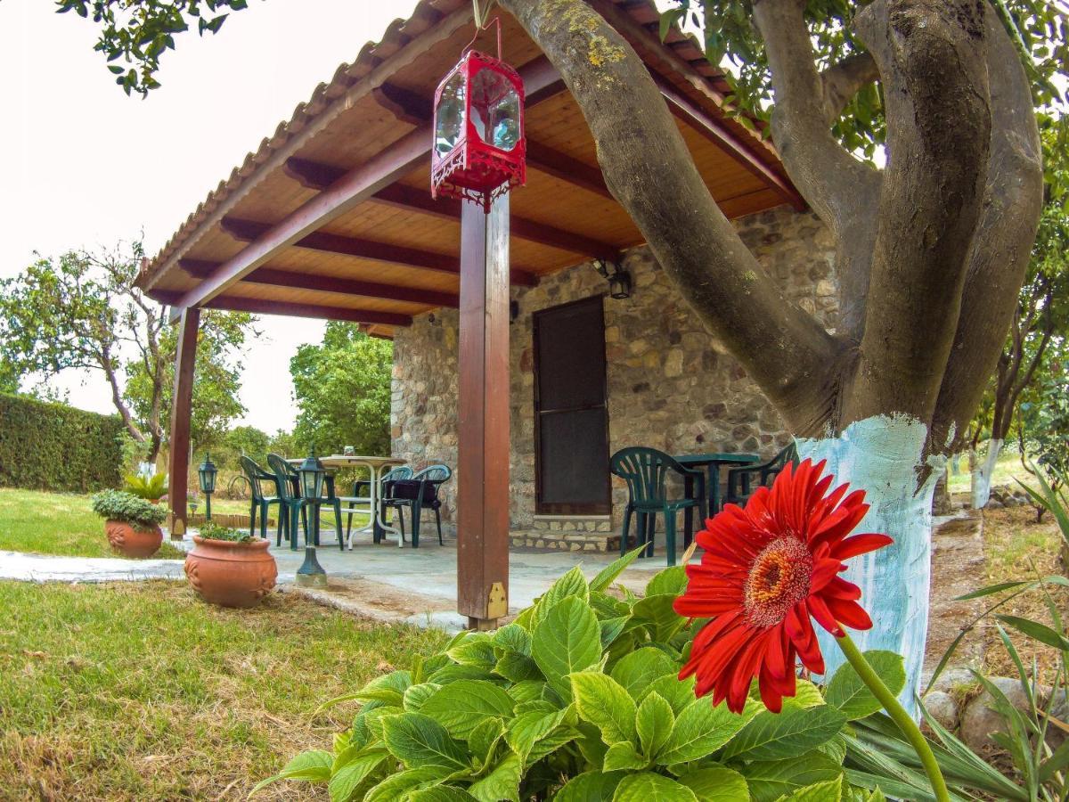 Patras Stonehouse With Large Yard - Πέτρινο Σπίτι Με Αυλή Villa Paralia  ภายนอก รูปภาพ